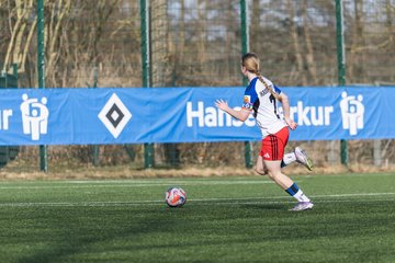 Bild 211 - wBJ Hamburger SV - Hertha BSC : Ergebnis: 2:1